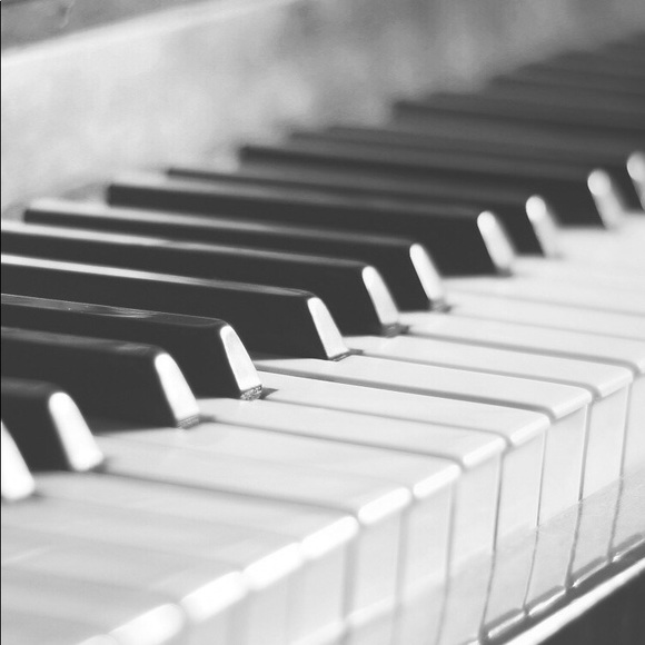 Meet your Posher, Gabe - Picture 1 of 1